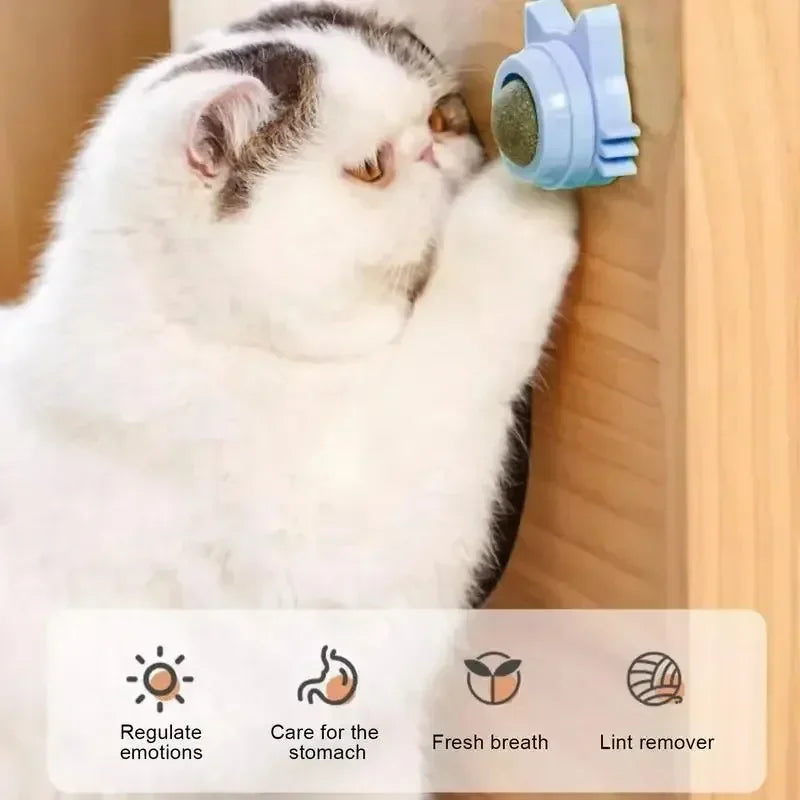 Catnip Wall Spin Ball -