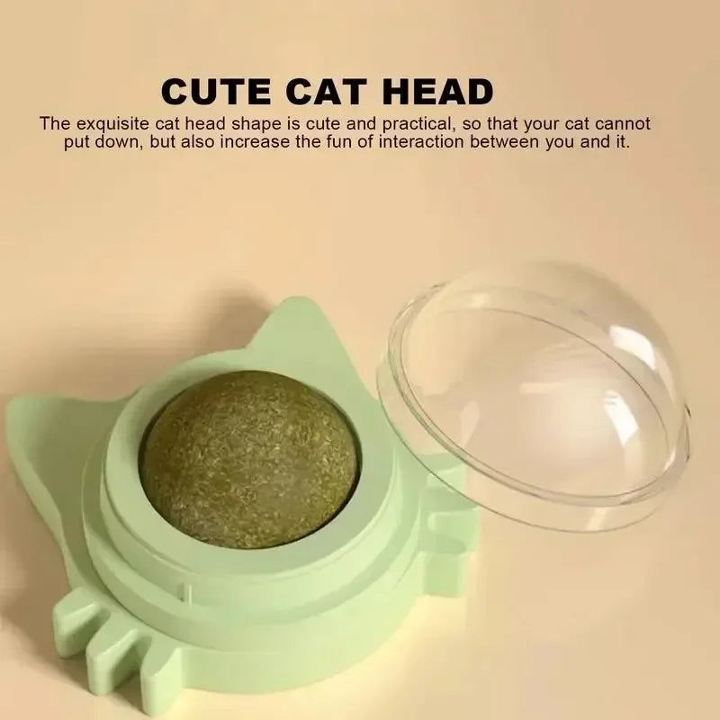 Catnip Wall Spin Ball -
