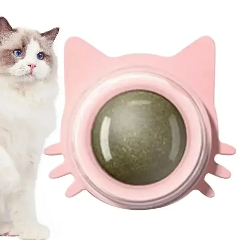 Catnip Wall Spin Ball -