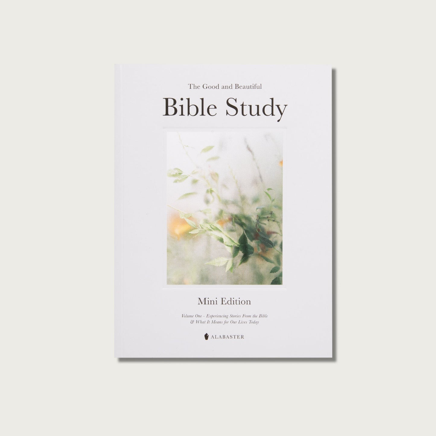 Beautiful Bible Study Journal