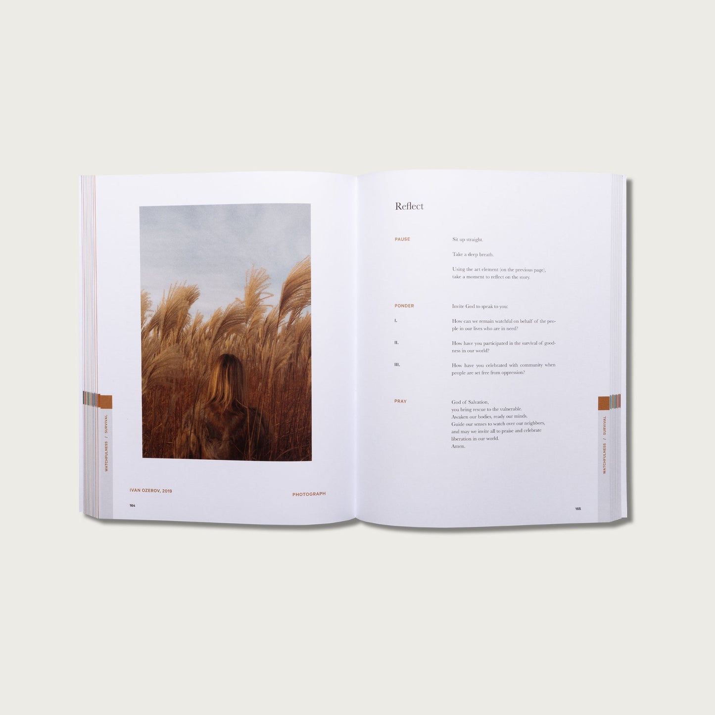 Beautiful Bible Study Journal