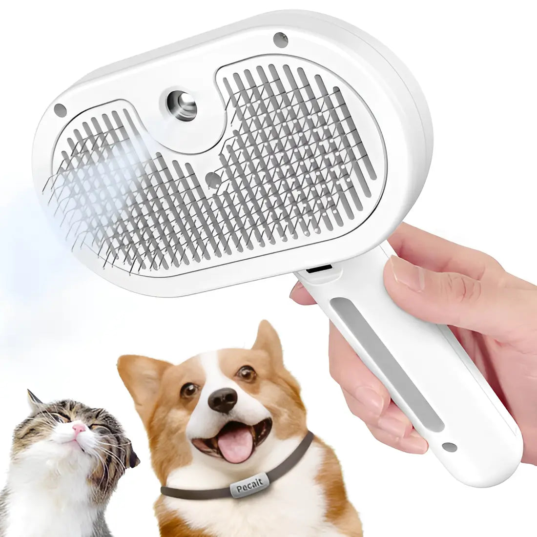 Steam Pet Grooming Tool