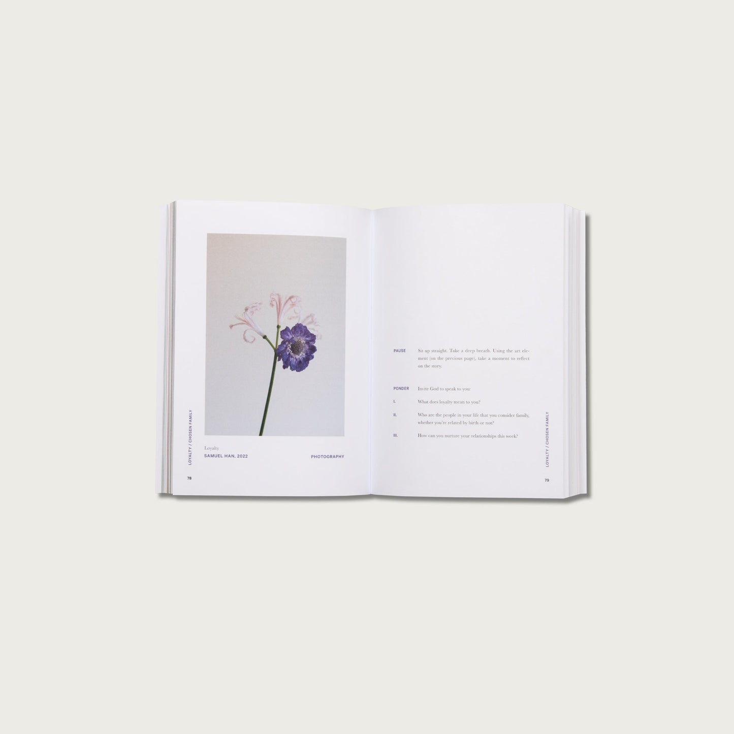 Beautiful Bible Study Journal
