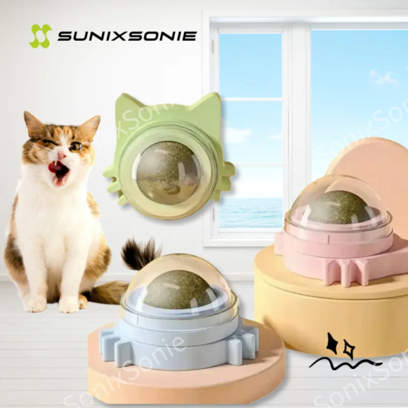 Catnip Wall Spin Ball - 