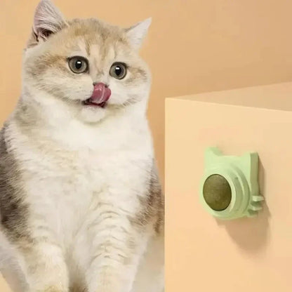 Catnip Wall Spin Ball - 