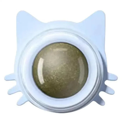 Catnip Wall Spin Ball - 