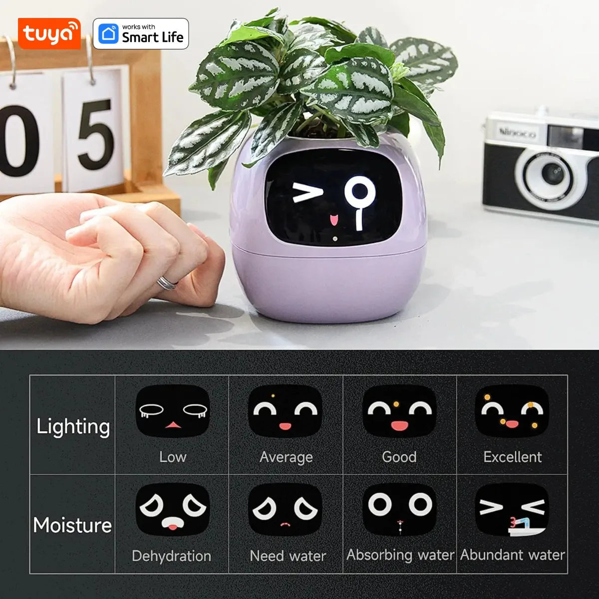 AI Smart Planter – Fun & Easy Plant Care - 