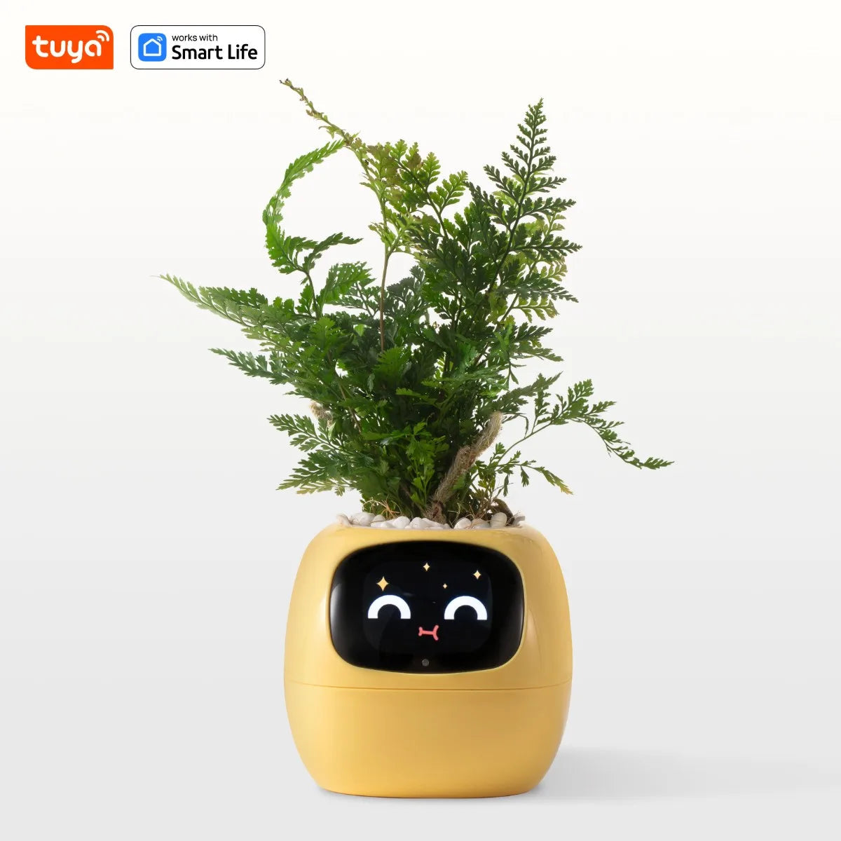 AI Smart Planter – Fun & Easy Plant Care - 