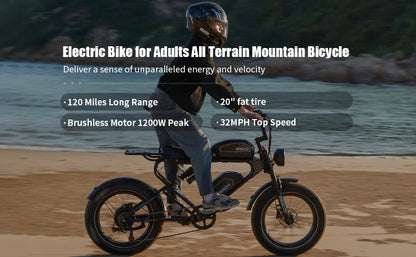 MEELOD DK300 PRO 20" Retro Moped Style Electric Bike 1200W Peak Motor 48V 15Ah Dual Batteries