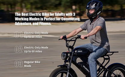 MEELOD DK300 PRO 20" Retro Moped Style Electric Bike 1200W Peak Motor 48V 15Ah Dual Batteries